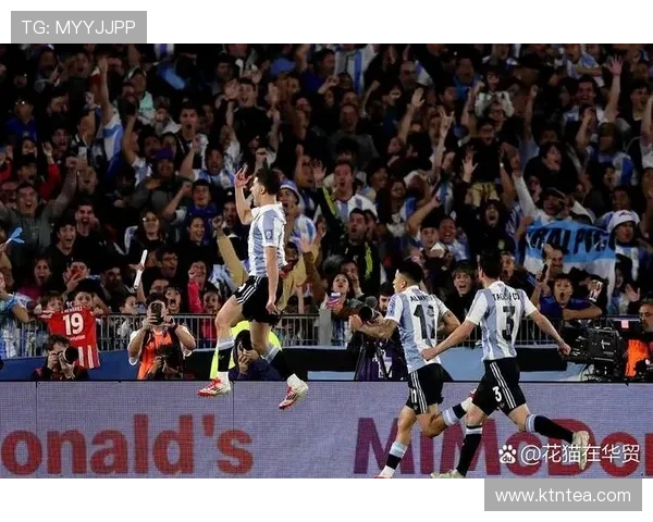 2026年世界杯南美区预选赛分组情况分析及热门球队前景预测 2026年世界杯南美区预选赛分组情况分析及热门球队前景预测