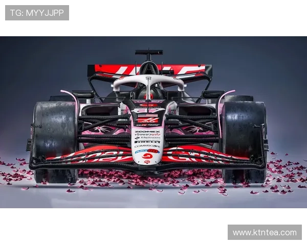 F1赛事新规则发布 各车队为应对技术变革做出战略调整